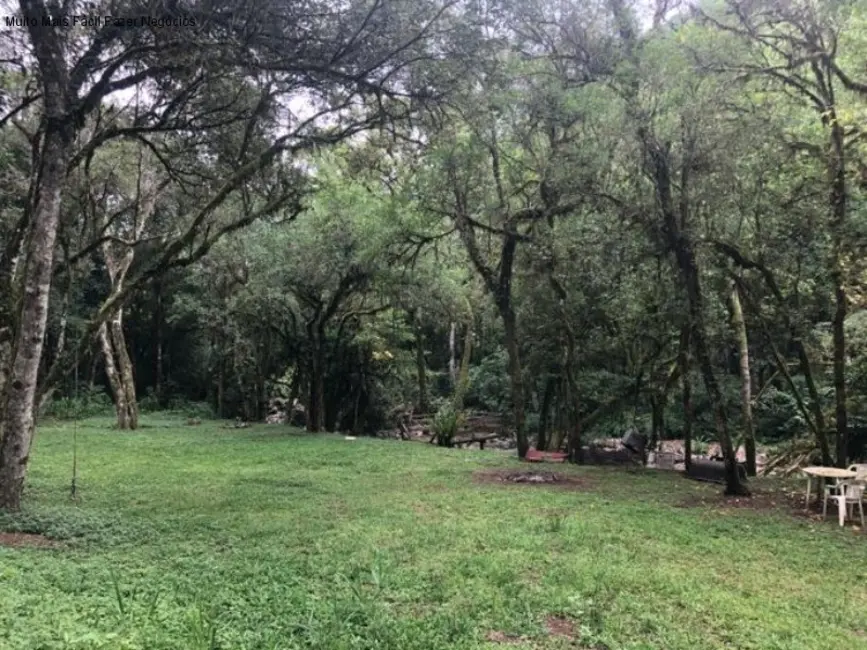 Sítio / Rancho com 2 quartos à venda, 80m2 em Nova Petropolis - RS - imagem 6 Foto 6 de Sítio / Rancho com 2 quartos à venda, 80m2 em Nova Petropolis - RS