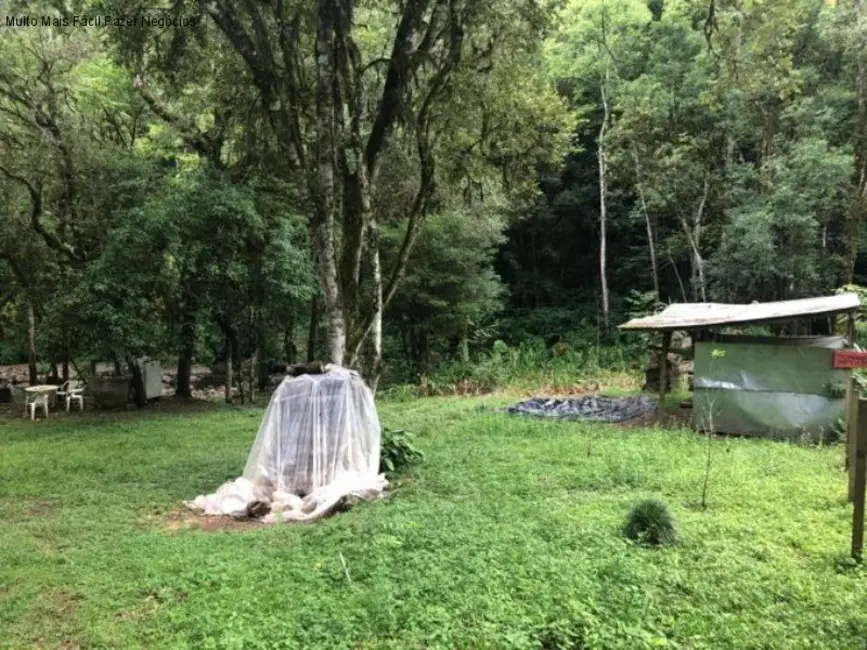 Sítio / Rancho com 2 quartos à venda, 80m2 em Nova Petropolis - RS - imagem 3 Foto 3 de Sítio / Rancho com 2 quartos à venda, 80m2 em Nova Petropolis - RS