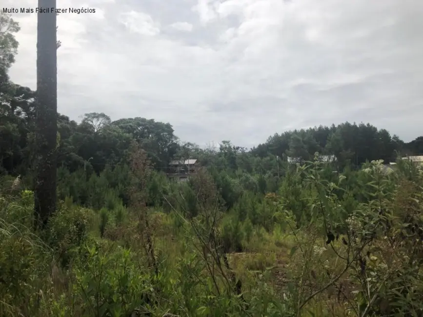 Foto 2 de Terreno / Lote à venda, 384m2 em Nova Petropolis - RS