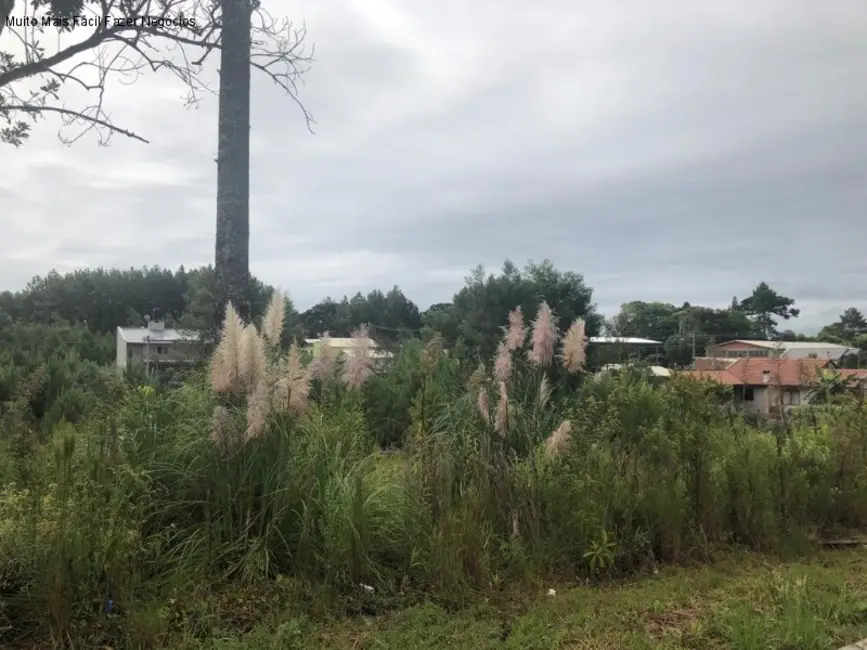 Foto 1 de Terreno / Lote à venda, 384m2 em Nova Petropolis - RS