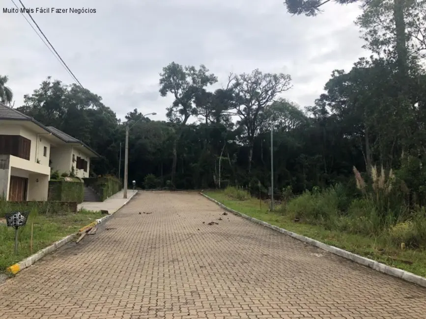 Foto 3 de Terreno / Lote à venda, 384m2 em Nova Petropolis - RS