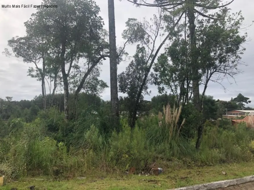 Foto 1 de Terreno / Lote à venda, 384m2 em Nova Petropolis - RS
