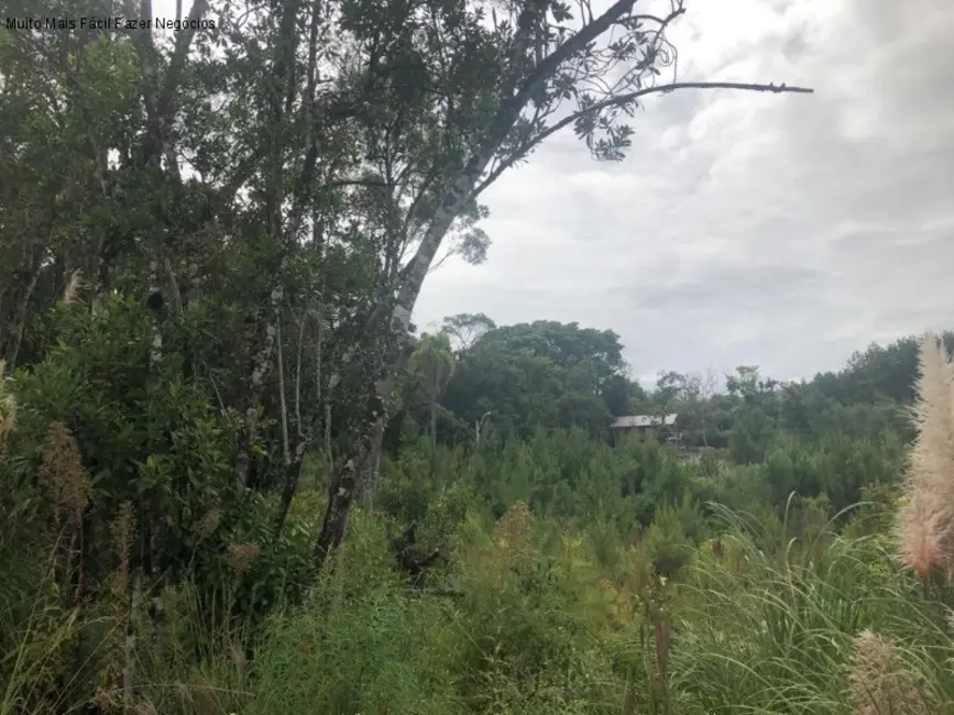 Foto 2 de Terreno / Lote à venda, 384m2 em Nova Petropolis - RS