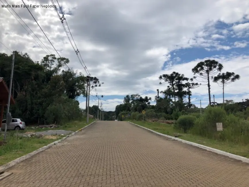 Foto 2 de Terreno / Lote à venda, 450m2 em Nova Petropolis - RS