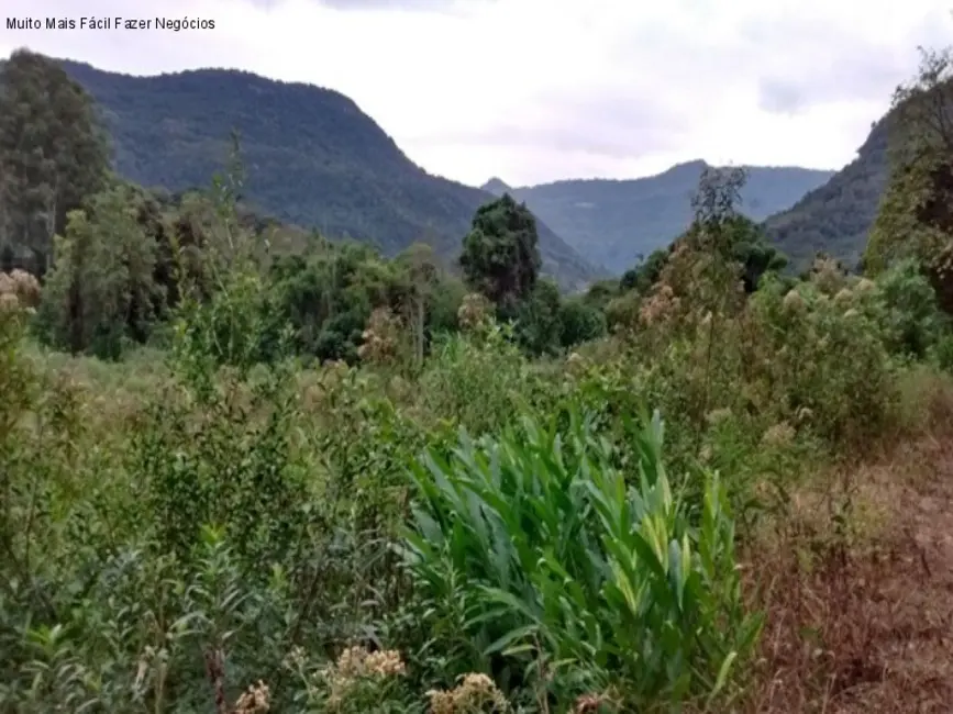 Foto 1 de Terreno / Lote à venda em Nova Petropolis - RS