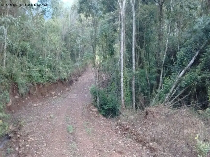 Terreno / Lote à venda em Nova Petropolis - RS - imagem 3 Foto 3 de Terreno / Lote à venda em Nova Petropolis - RS