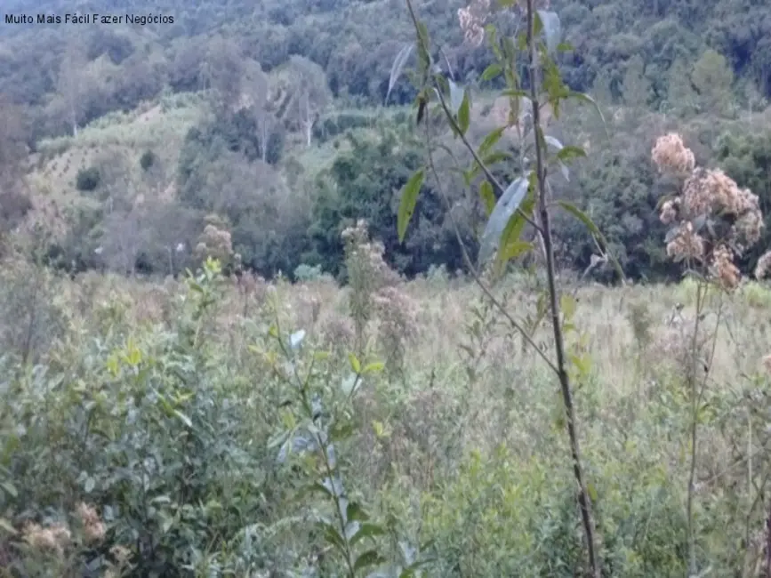 Terreno / Lote à venda em Nova Petropolis - RS - imagem 5 Foto 5 de Terreno / Lote à venda em Nova Petropolis - RS