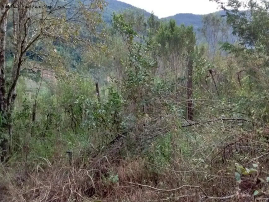 Terreno / Lote à venda em Nova Petropolis - RS - imagem 2 Foto 2 de Terreno / Lote à venda em Nova Petropolis - RS