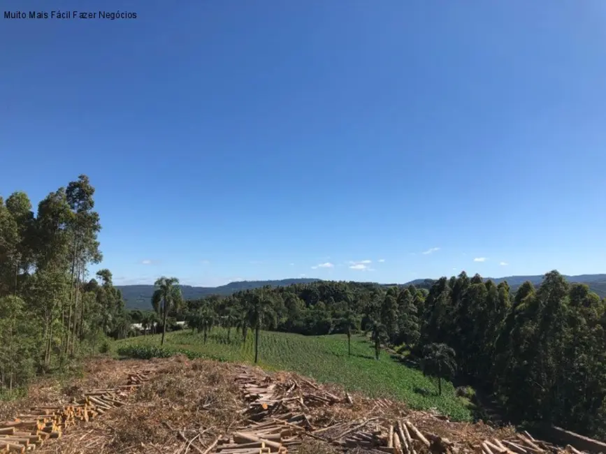 Terreno / Lote à venda em Picada Cafe - RS - imagem 4 Foto 4 de Terreno / Lote à venda em Picada Cafe - RS