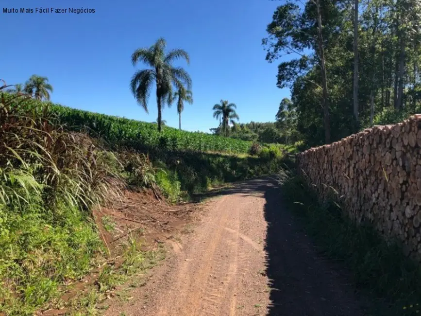 Terreno / Lote à venda em Picada Cafe - RS - imagem 2 Foto 2 de Terreno / Lote à venda em Picada Cafe - RS