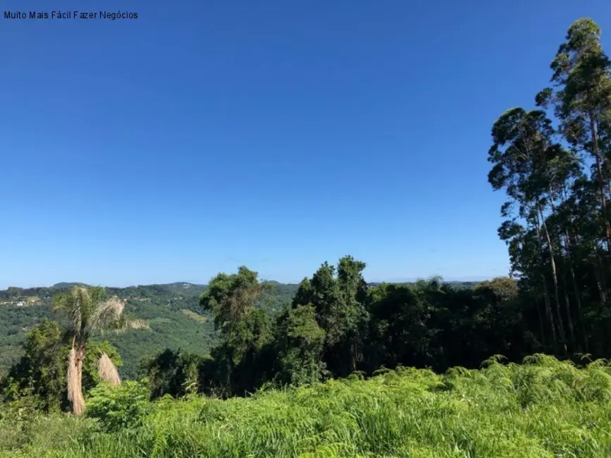 Terreno / Lote à venda em Picada Cafe - RS - imagem 1 Foto 1 de Terreno / Lote à venda em Picada Cafe - RS