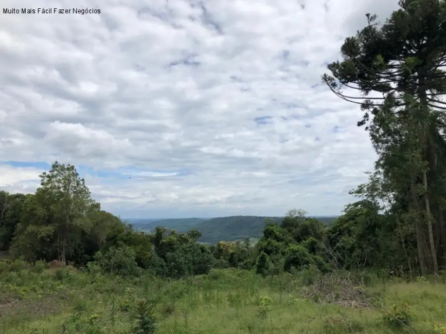 Foto 1 de Terreno / Lote à venda em Nova Petropolis - RS