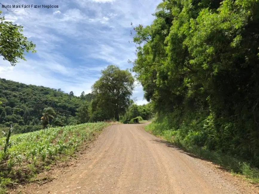 Foto 2 de Terreno / Lote à venda em Nova Petropolis - RS