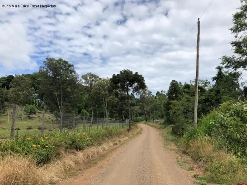 Foto 5 de Terreno / Lote à venda em Nova Petropolis - RS