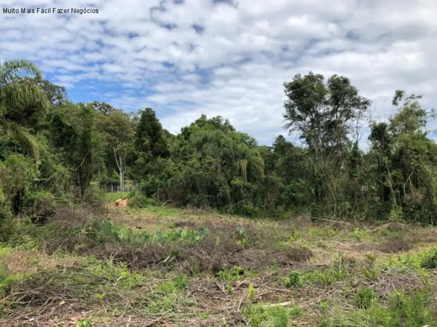 Foto 9 de Terreno / Lote à venda em Nova Petropolis - RS