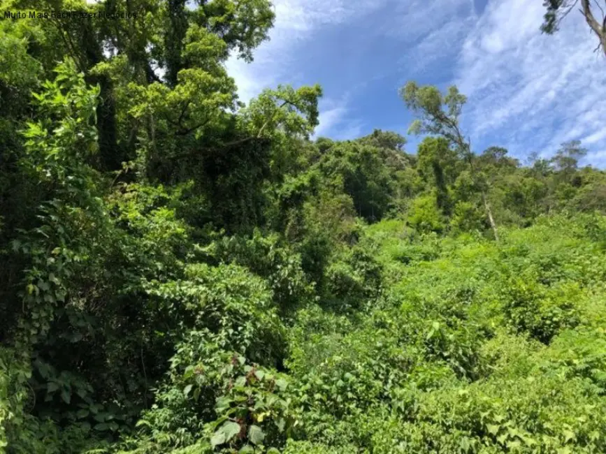 Foto 3 de Terreno / Lote à venda em Nova Petropolis - RS