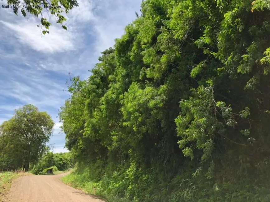 Foto 4 de Terreno / Lote à venda em Nova Petropolis - RS
