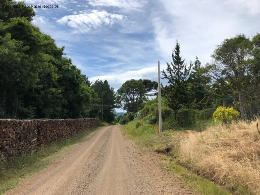 Foto 6 de Terreno / Lote à venda em Nova Petropolis - RS