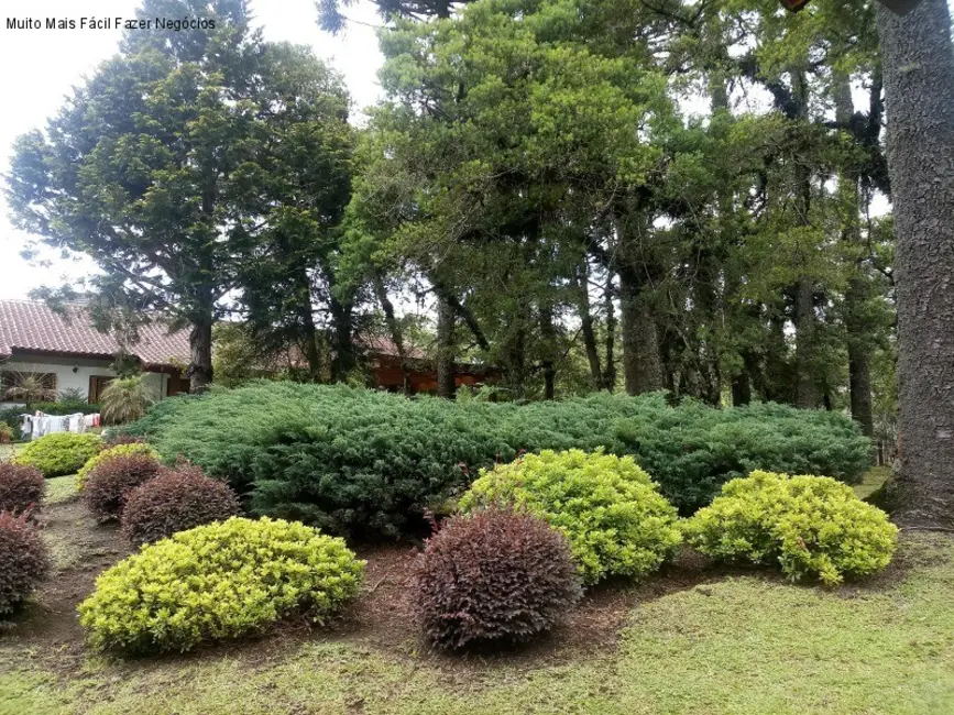 Casa com 4 quartos à venda, 280m2 em Canela - RS - imagem 7 Foto 7 de Casa com 4 quartos à venda, 280m2 em Canela - RS