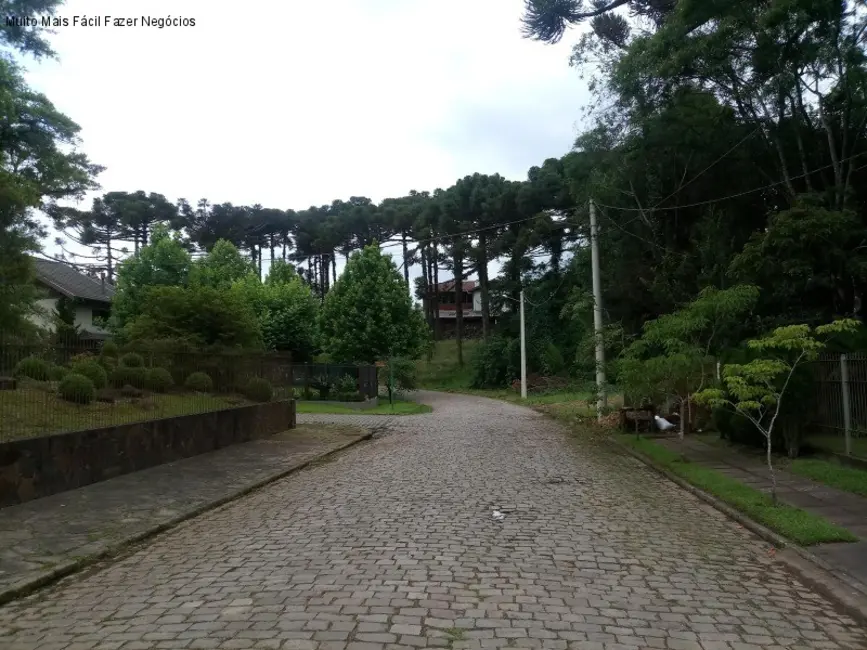 Casa com 4 quartos à venda, 280m2 em Canela - RS - imagem 3 Foto 3 de Casa com 4 quartos à venda, 280m2 em Canela - RS