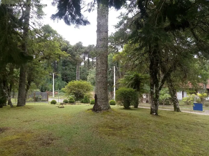 Casa com 4 quartos à venda, 280m2 em Canela - RS - imagem 9 Foto 9 de Casa com 4 quartos à venda, 280m2 em Canela - RS