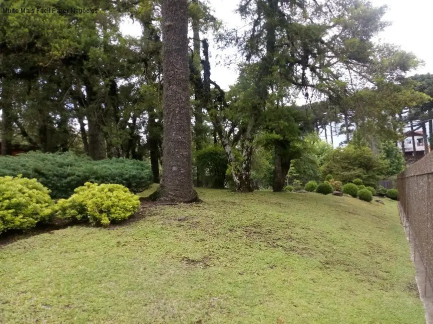 Casa com 4 quartos à venda, 280m2 em Canela - RS - imagem 6 Foto 6 de Casa com 4 quartos à venda, 280m2 em Canela - RS