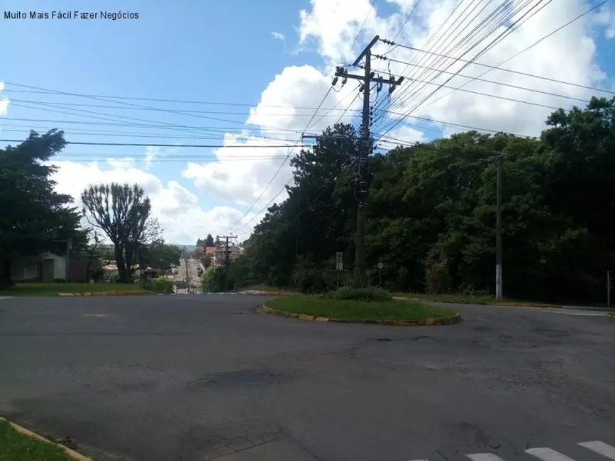 Terreno / Lote para alugar, 5000m2 em Nova Petropolis - RS - imagem 5 Foto 5 de Terreno / Lote para alugar, 5000m2 em Nova Petropolis - RS