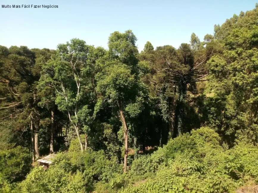 Terreno / Lote à venda, 3500m2 em Nova Petropolis - RS - imagem 3 Foto 3 de Terreno / Lote à venda, 3500m2 em Nova Petropolis - RS