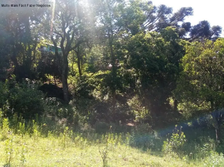 Terreno / Lote à venda, 3500m2 em Nova Petropolis - RS - imagem 8 Foto 8 de Terreno / Lote à venda, 3500m2 em Nova Petropolis - RS