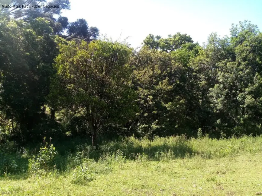 Terreno / Lote à venda, 3500m2 em Nova Petropolis - RS - imagem 7 Foto 7 de Terreno / Lote à venda, 3500m2 em Nova Petropolis - RS