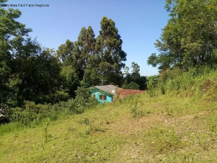 Terreno / Lote à venda, 3500m2 em Nova Petropolis - RS - imagem 9 Foto 9 de Terreno / Lote à venda, 3500m2 em Nova Petropolis - RS