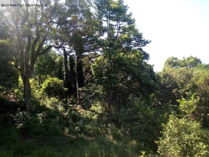 Terreno / Lote à venda, 3500m2 em Nova Petropolis - RS - imagem 6 Foto 6 de Terreno / Lote à venda, 3500m2 em Nova Petropolis - RS