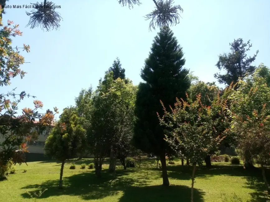 Terreno / Lote à venda, 2400m2 em Nova Petropolis - RS - imagem 7 Foto 7 de Terreno / Lote à venda, 2400m2 em Nova Petropolis - RS