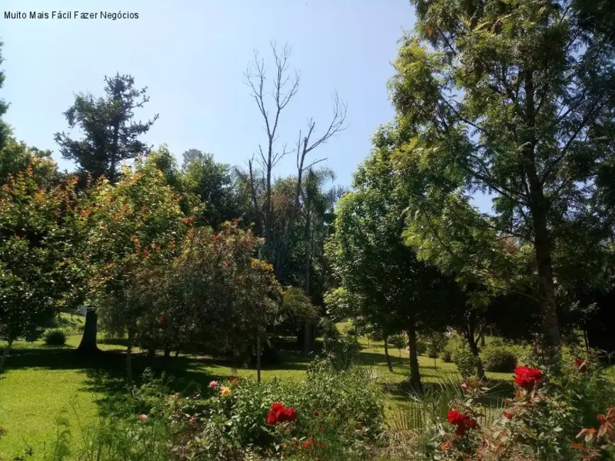 Terreno / Lote à venda, 2400m2 em Nova Petropolis - RS - imagem 6 Foto 6 de Terreno / Lote à venda, 2400m2 em Nova Petropolis - RS