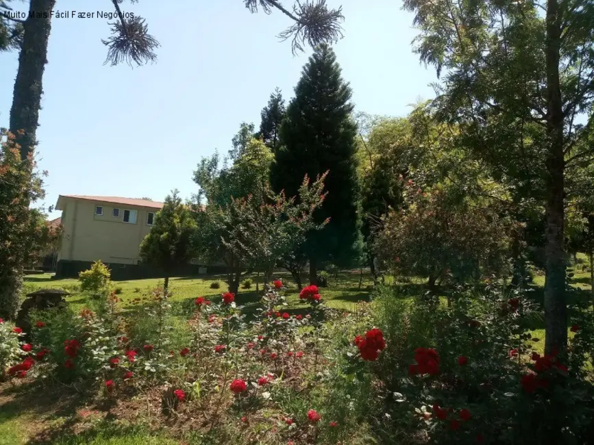 Terreno / Lote à venda, 2400m2 em Nova Petropolis - RS - imagem 4 Foto 4 de Terreno / Lote à venda, 2400m2 em Nova Petropolis - RS