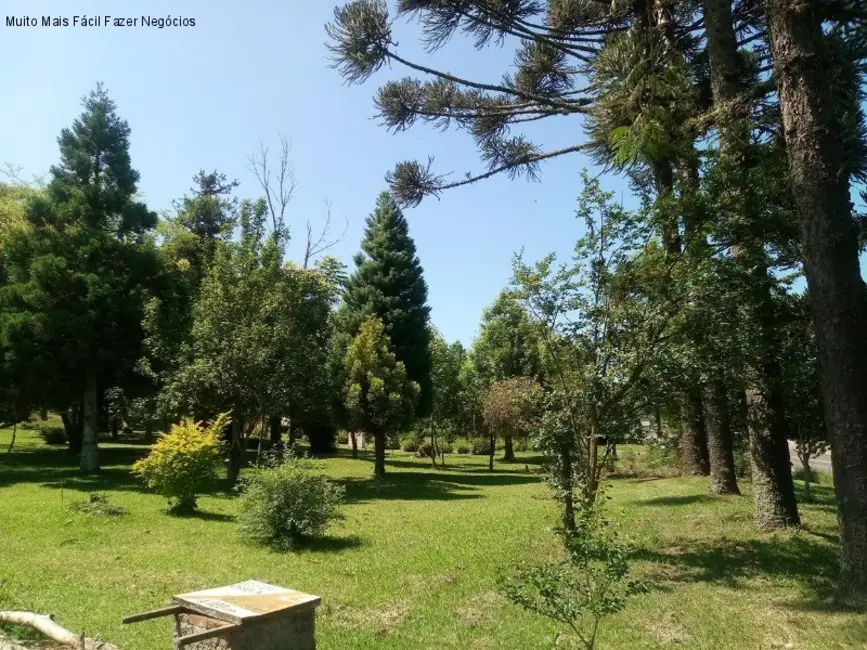 Terreno / Lote à venda, 2400m2 em Nova Petropolis - RS - imagem 8 Foto 8 de Terreno / Lote à venda, 2400m2 em Nova Petropolis - RS