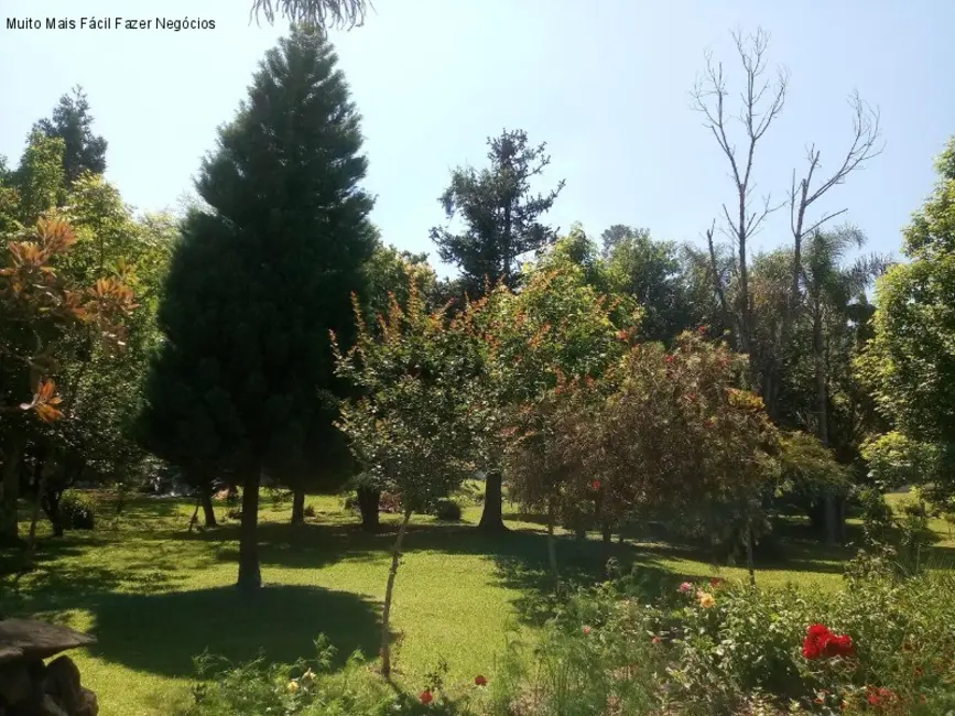 Terreno / Lote à venda, 2400m2 em Nova Petropolis - RS - imagem 5 Foto 5 de Terreno / Lote à venda, 2400m2 em Nova Petropolis - RS