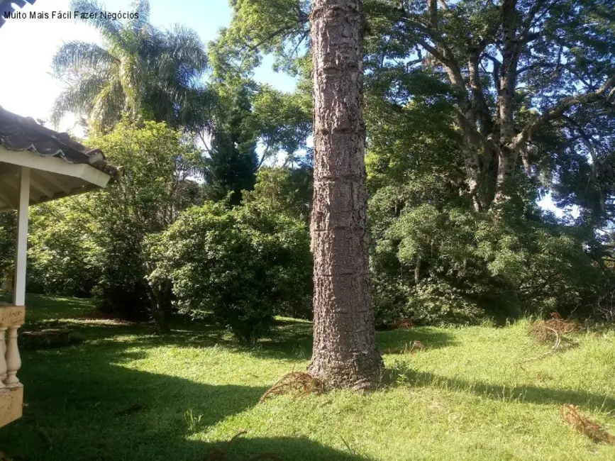 Sala Comercial com 3 quartos à venda, 200m2 em Centro, Nova Petropolis - RS - imagem 6 Foto 6 de Sala Comercial com 3 quartos à venda, 200m2 em Centro, Nova Petropolis - RS