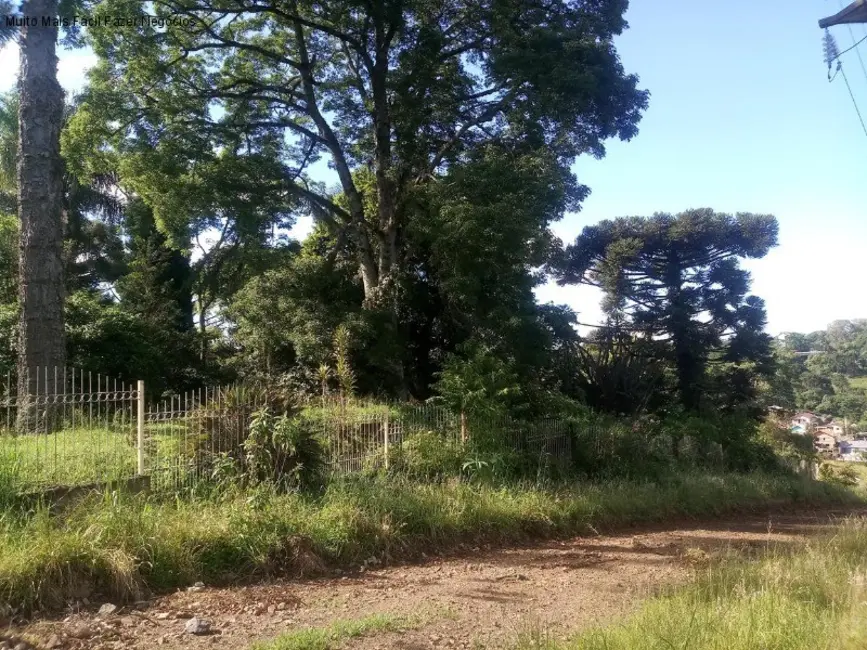 Sala Comercial com 3 quartos à venda, 200m2 em Centro, Nova Petropolis - RS - imagem 3 Foto 3 de Sala Comercial com 3 quartos à venda, 200m2 em Centro, Nova Petropolis - RS