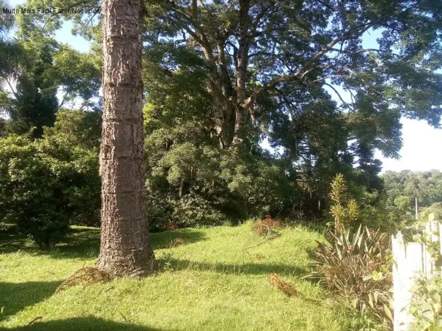 Sala Comercial com 3 quartos à venda, 200m2 em Centro, Nova Petropolis - RS - imagem 7 Foto 7 de Sala Comercial com 3 quartos à venda, 200m2 em Centro, Nova Petropolis - RS