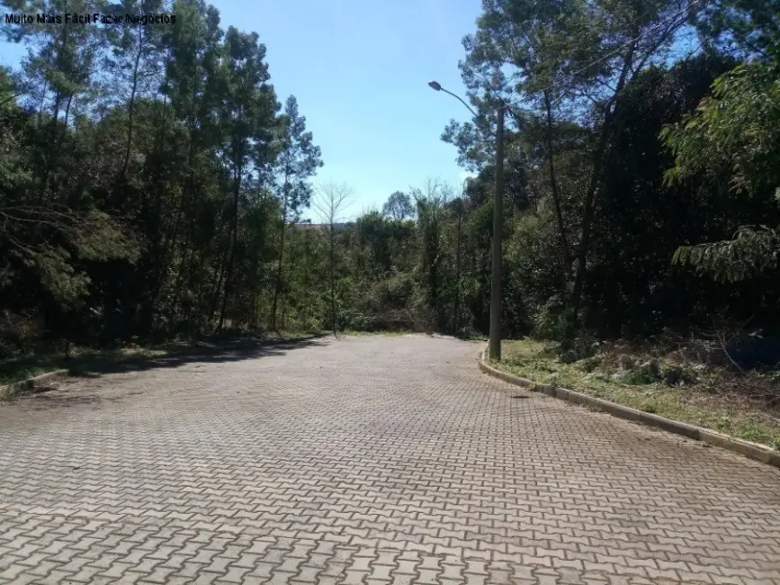 Foto 2 de Terreno / Lote à venda, 518m2 em Nova Petropolis - RS