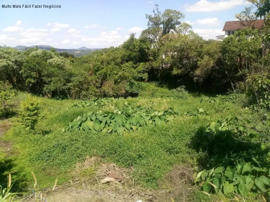 Terreno / Lote à venda em Nova Petropolis - RS - imagem 6 Foto 6 de Terreno / Lote à venda em Nova Petropolis - RS