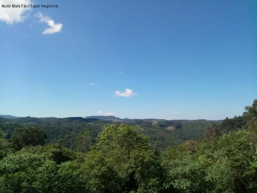 Foto 7 de Casa com 5 quartos à venda, 400m2 em Nova Petropolis - RS