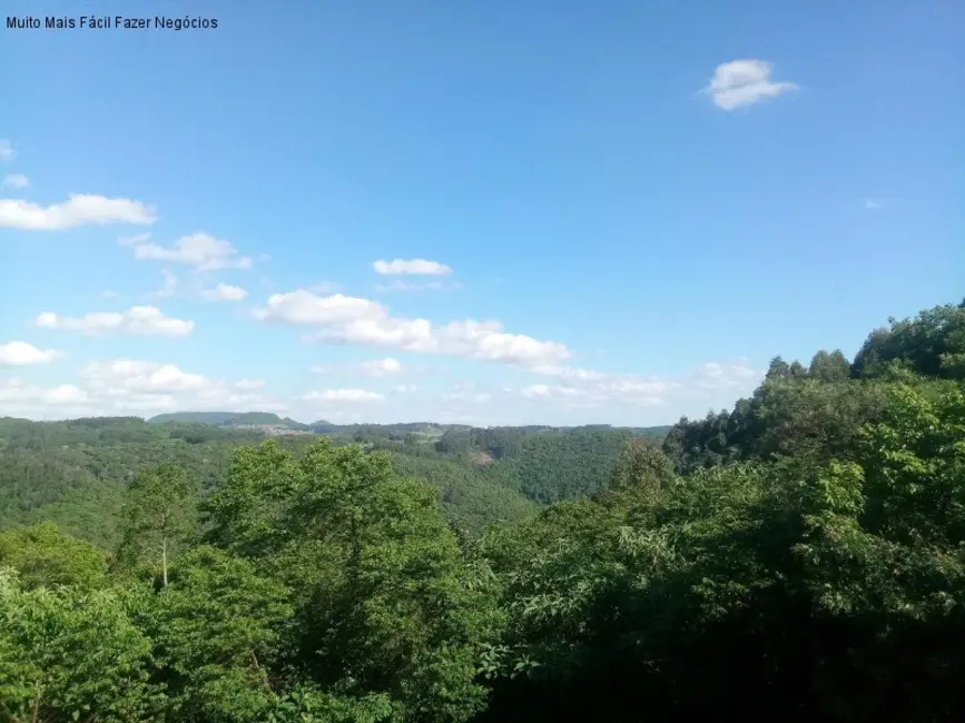 Foto 9 de Casa com 5 quartos à venda, 400m2 em Nova Petropolis - RS