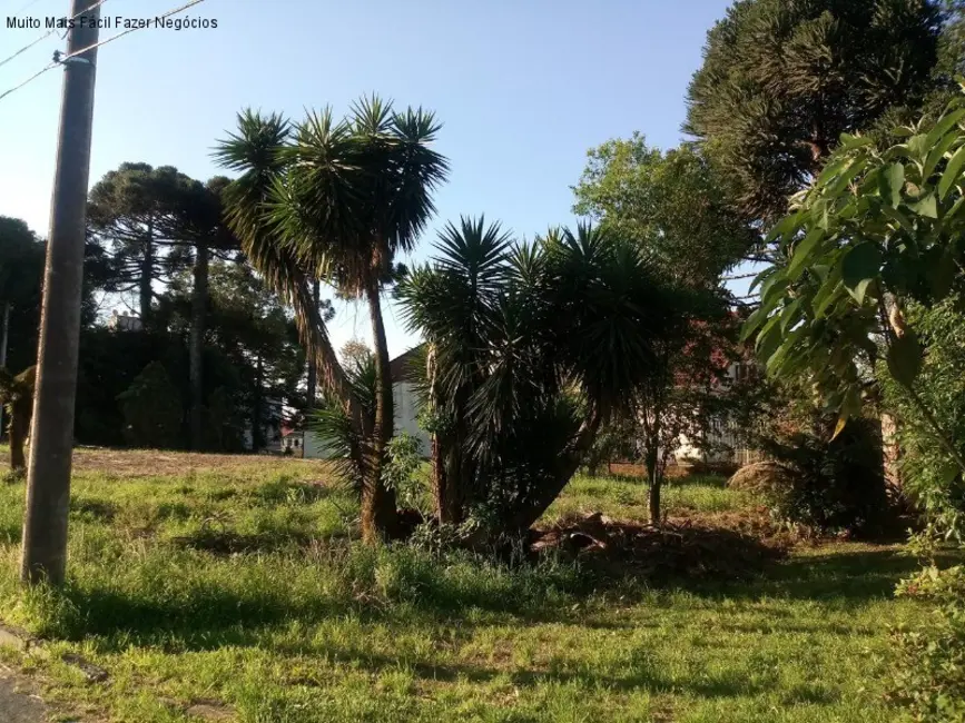 Foto 4 de Terreno / Lote à venda, 1452m2 em Nova Petropolis - RS