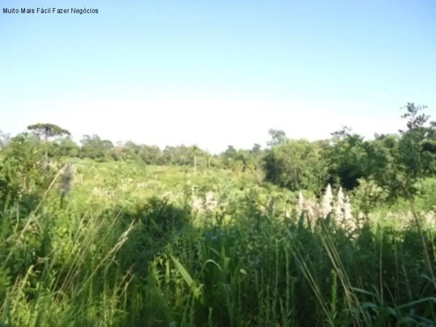 Terreno / Lote à venda, 8m2 em Nova Petropolis - RS - imagem 4 Foto 4 de Terreno / Lote à venda, 8m2 em Nova Petropolis - RS