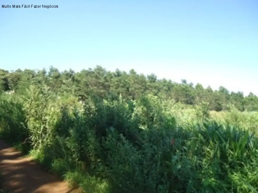 Terreno / Lote à venda, 8m2 em Nova Petropolis - RS - imagem 9 Foto 9 de Terreno / Lote à venda, 8m2 em Nova Petropolis - RS