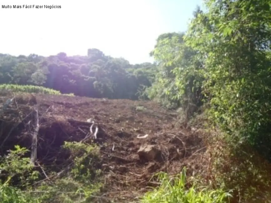 Terreno / Lote à venda, 8m2 em Nova Petropolis - RS - imagem 2 Foto 2 de Terreno / Lote à venda, 8m2 em Nova Petropolis - RS