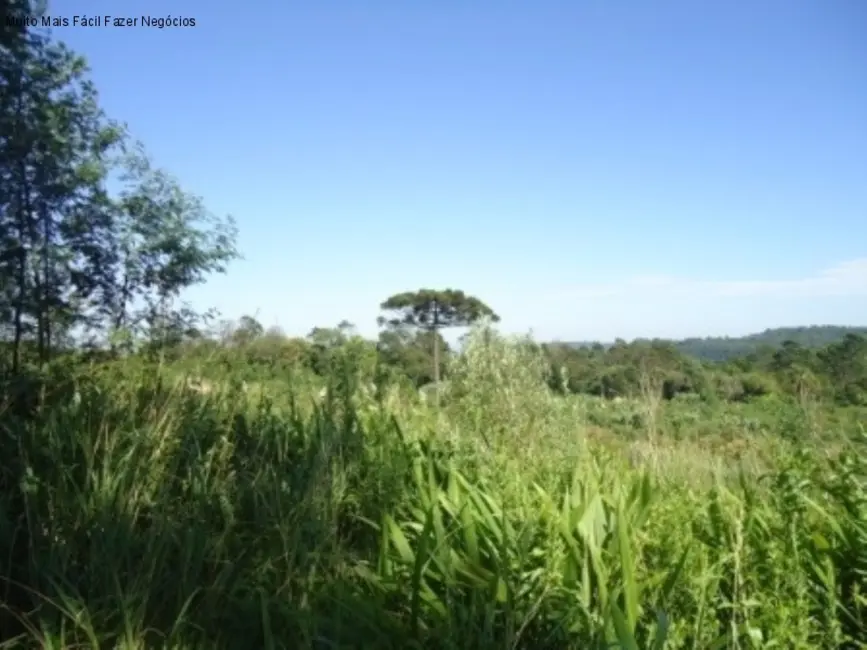 Terreno / Lote à venda, 8m2 em Nova Petropolis - RS - imagem 6 Foto 6 de Terreno / Lote à venda, 8m2 em Nova Petropolis - RS