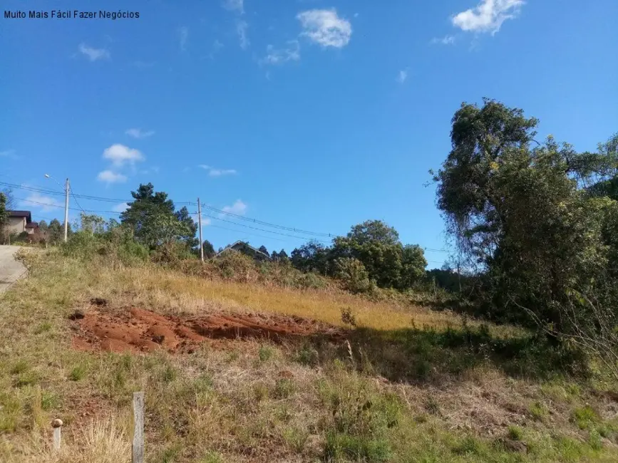 Foto 2 de Terreno / Lote à venda, 568m2 em Nova Petropolis - RS